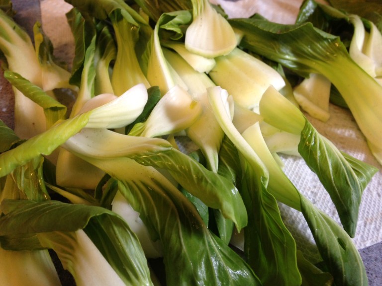 Bok Choy